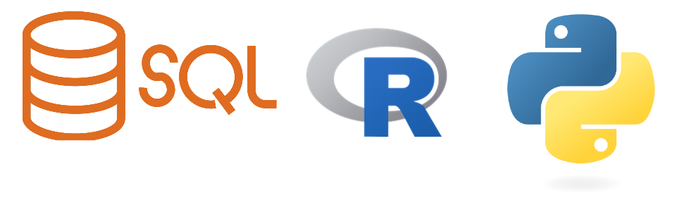 2025 Programming Language Trends: Python, SQL & R in Data Science