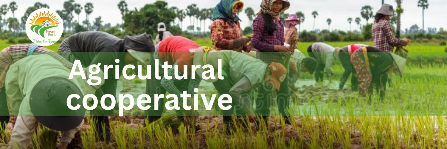 Better Kharif Yields with agricultural cooperative Support