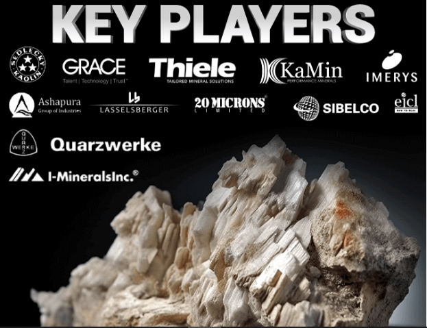 Kaolin Market Industrial Growth and Technological Advancements | 2025–2032