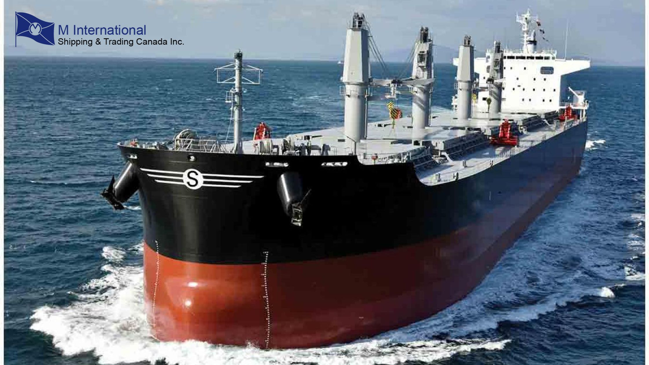 Navigating Success: My Journey with Dry Bulk Chartering Services