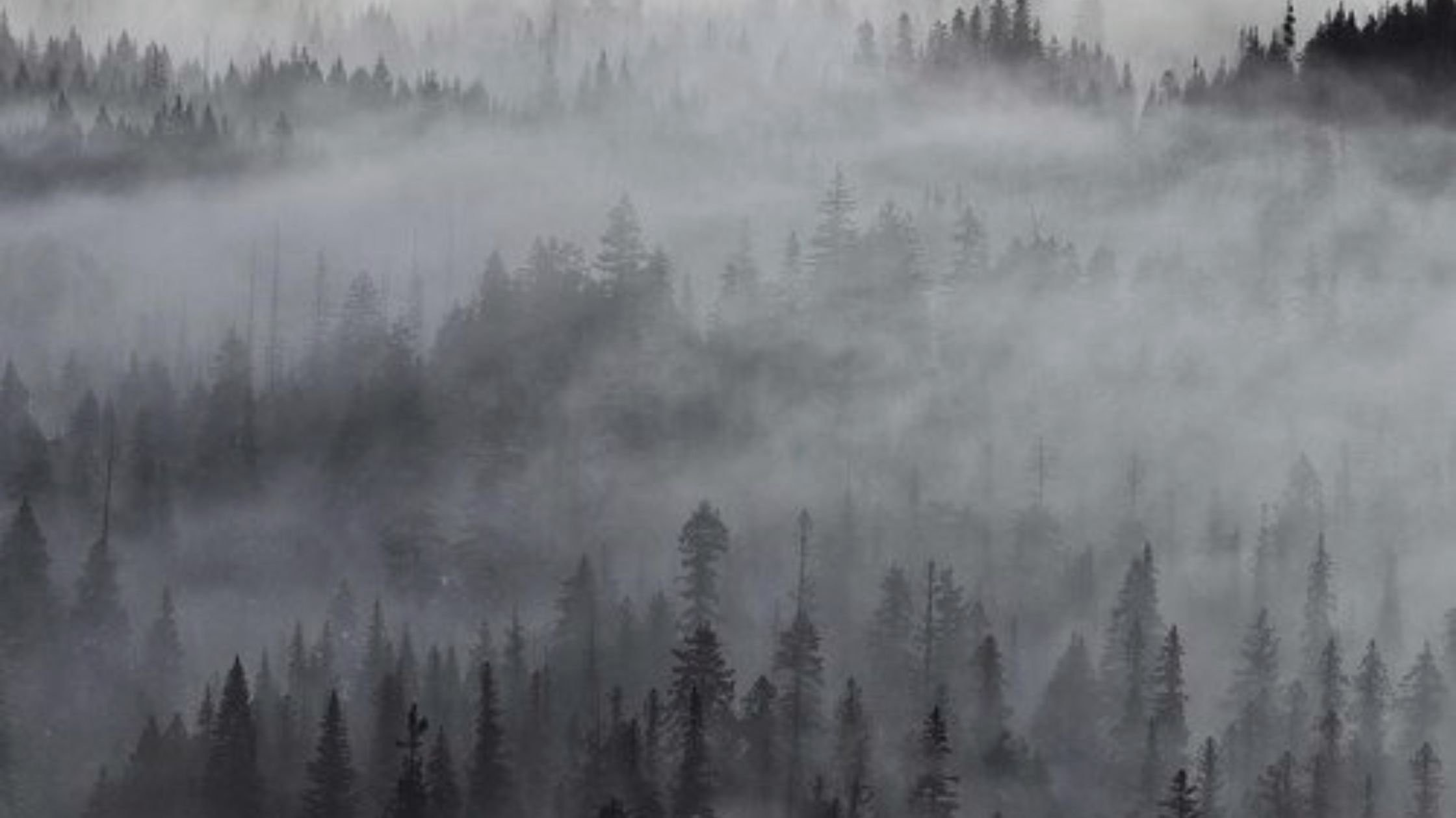 The Oneness of Words: Exploring Nondual Poetry