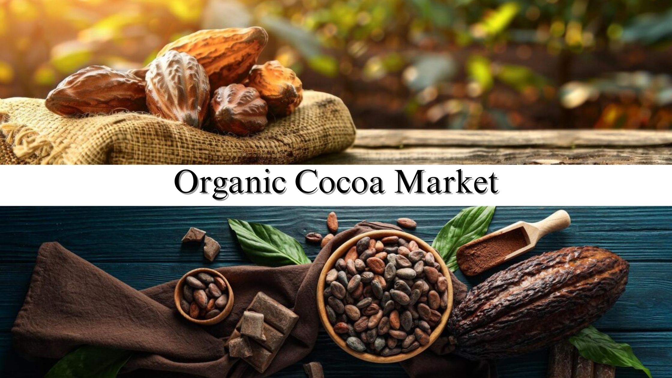 Organic Cocoa Market Size, Share, Growth Trends Forecast to 2032