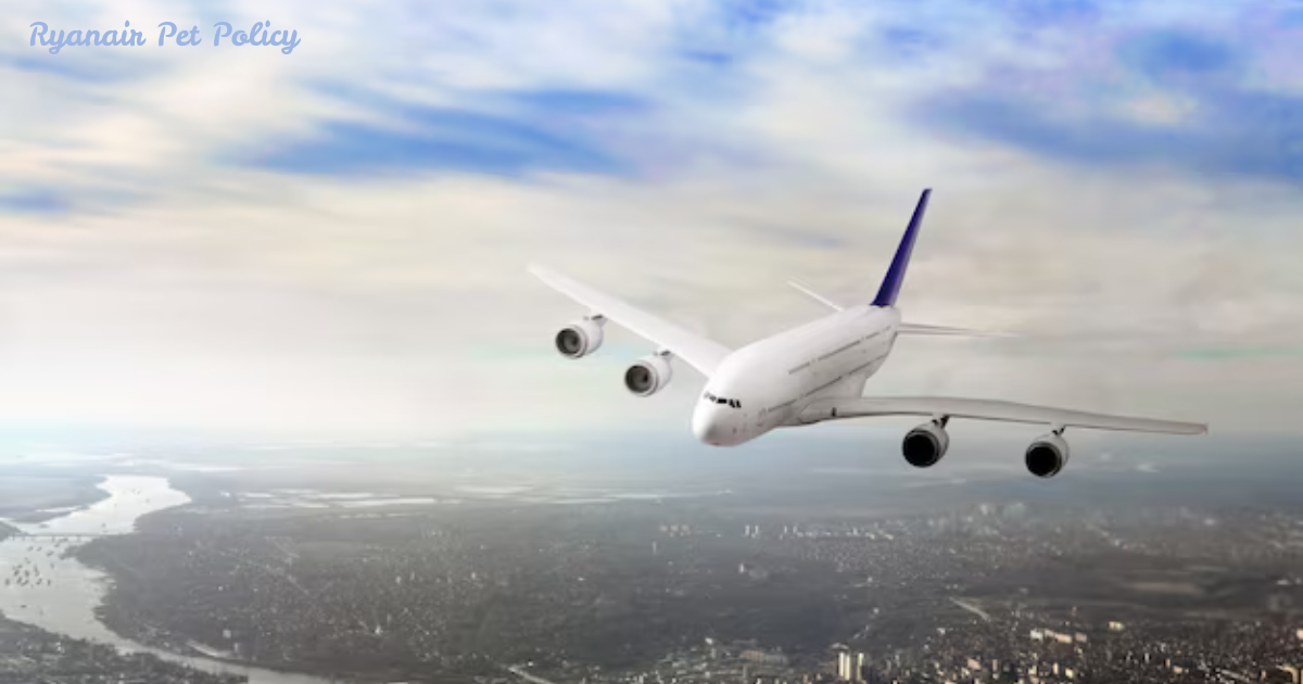 Ryanair Pet Policy: A Comprehensive Guide for Travelers