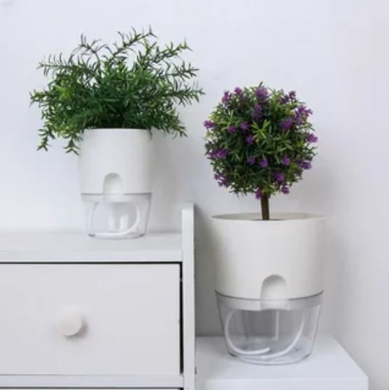 Self-Watering Pots in Pakistan | Revolutionizing Home Gardening with Pak Plants