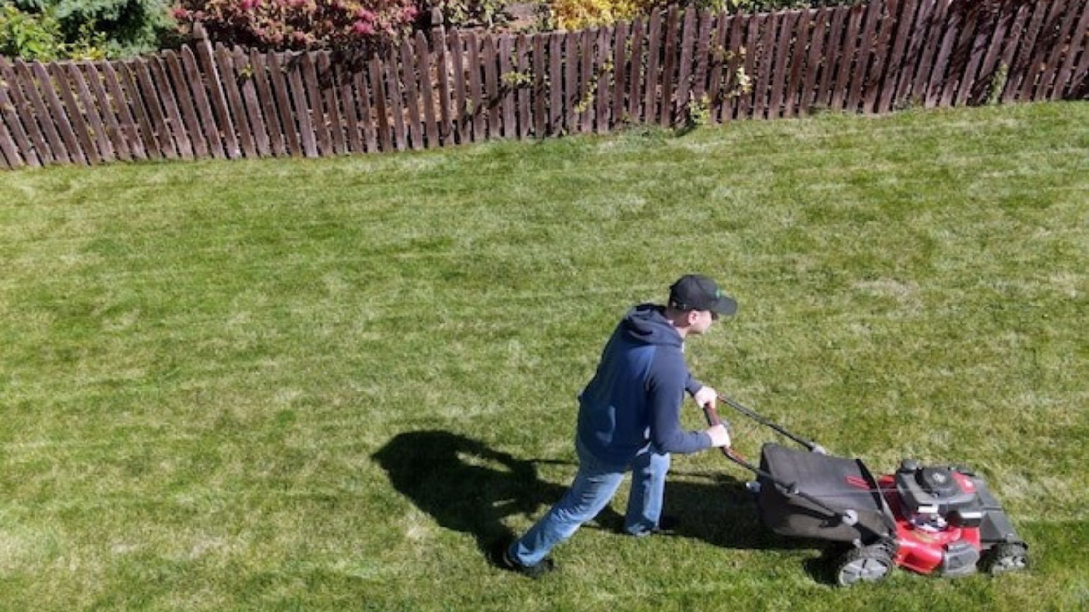 9 Benefits of Plant Trimming Services in Colorado