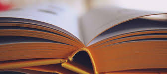 Unravelling Bonds: Exploring Father-Daughter Relationships and My Father's Secret Life Book