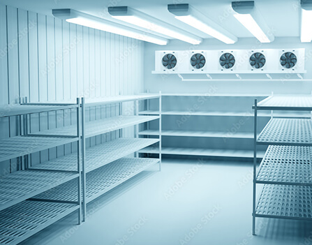 Where Coolrooms in Sydney Meet Functionality and Reliability