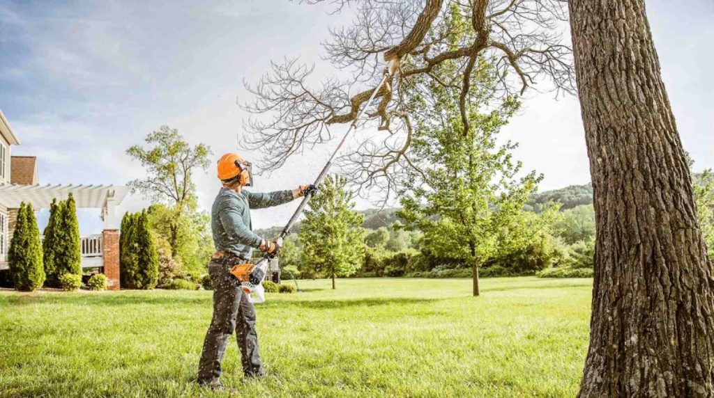 4 Signs That You Need to Hire a Tree Service Contractor